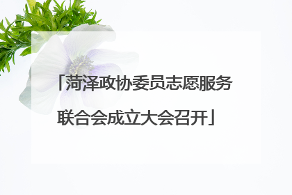 菏泽政协委员志愿服务联合会成立大会召开
